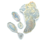 Opal & Dendritic Agate Earrings
